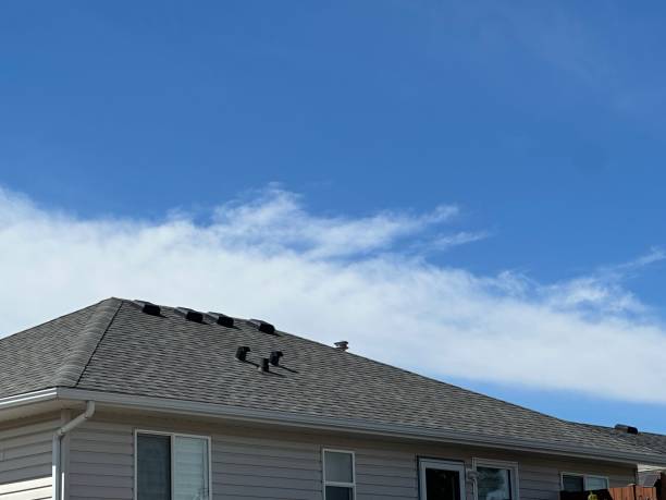 Best Wood Shake Roofing  in Sparta, MI